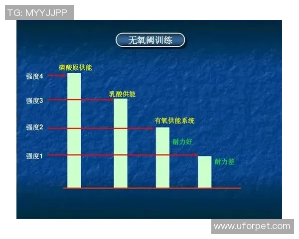 重庆羽毛球队耐力表现分析及其对训练效果的影响探讨 重庆羽毛球队耐力表现分析及其对训练效果的影响探讨