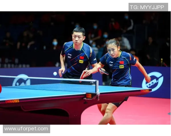 乒乓球的魅力与坚持：深入了解成都乒乓球队的训练与耐力之道