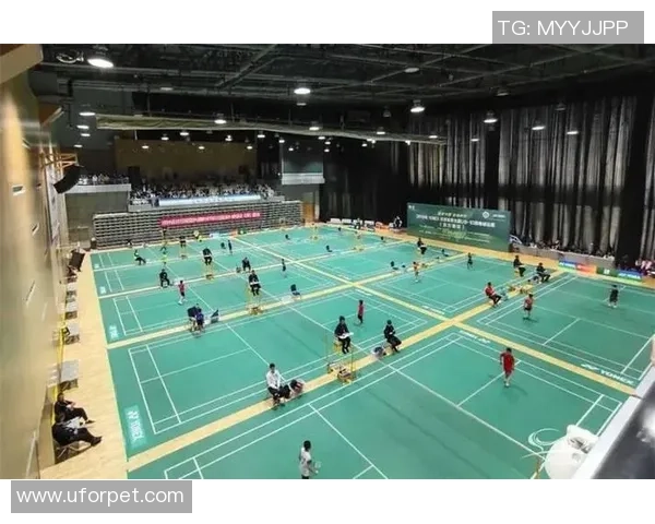 上海羽毛球队逆袭之旅揭秘从低谷到巅峰的奋斗历程与荣耀时刻 上海羽毛球队逆袭之旅揭秘从低谷到巅峰的奋斗历程与荣耀时刻