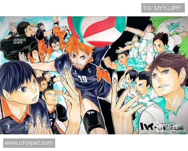 从零基础到排球高手:全面提升耐力与技巧的实用指南 从零基础到排球高手:全面提升耐力与技巧的实用指南