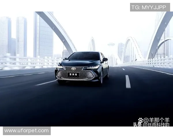 杭州排球队在洲际杯积分榜上以87分稳居第一名展现强劲实力 杭州排球队在洲际杯积分榜上以87分稳居第一名展现强劲实力