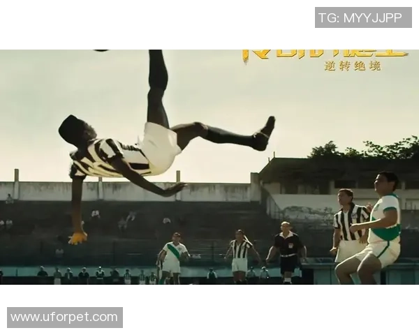 血脉传承与荣耀之路有血统的足球明星们的传奇故事