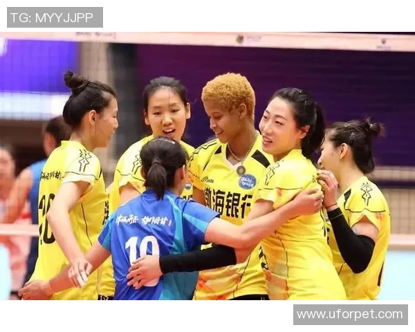 南京排球队实力提升引发热议新赛季展望与挑战并存