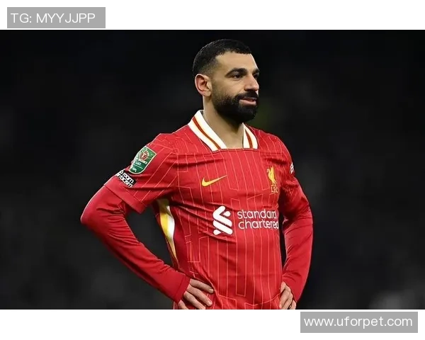 国内足球明星代言广告的影响力与市场潜力分析