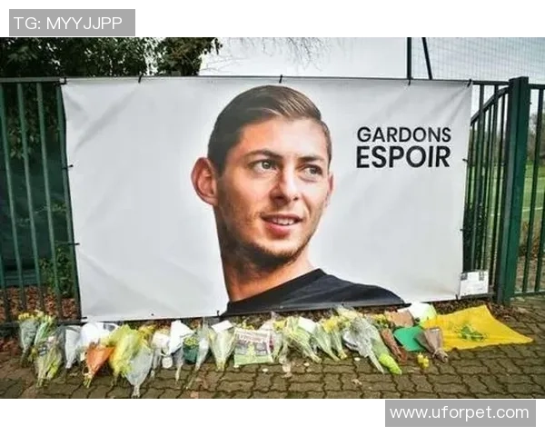 足球明星因坠机事故不幸去世引发全球哀悼与关注 足球明星因坠机事故不幸去世引发全球哀悼与关注