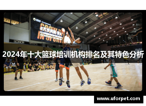 2024年十大篮球培训机构排名及其特色分析