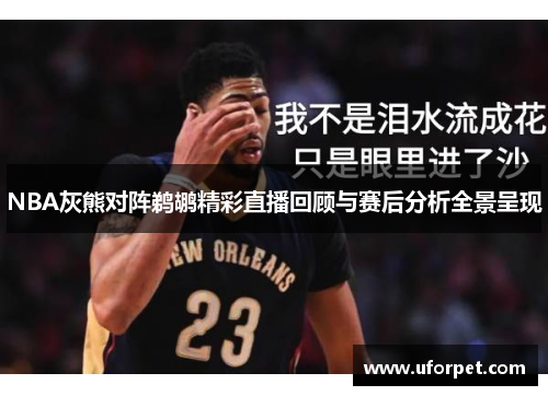 NBA灰熊对阵鹈鹕精彩直播回顾与赛后分析全景呈现